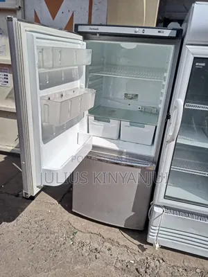Double Door Bottom Freezer Kitchen Fridge