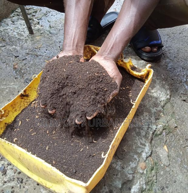 Black Soldier Fly Frass. ( Organic Fertilizer ) 25 KGS