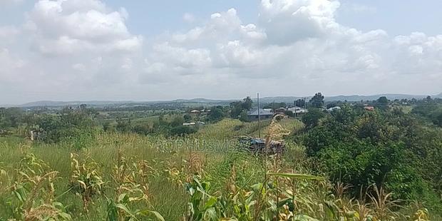 Polt Size 100 by 50 |100by100 - thumbnail 2