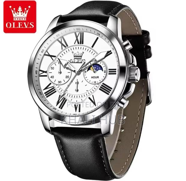 Classic Luxury Olevs Watch 3632