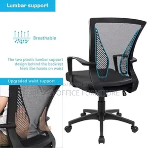 Office Chair: Ergonomic Mid-Back Mesh With Armrests