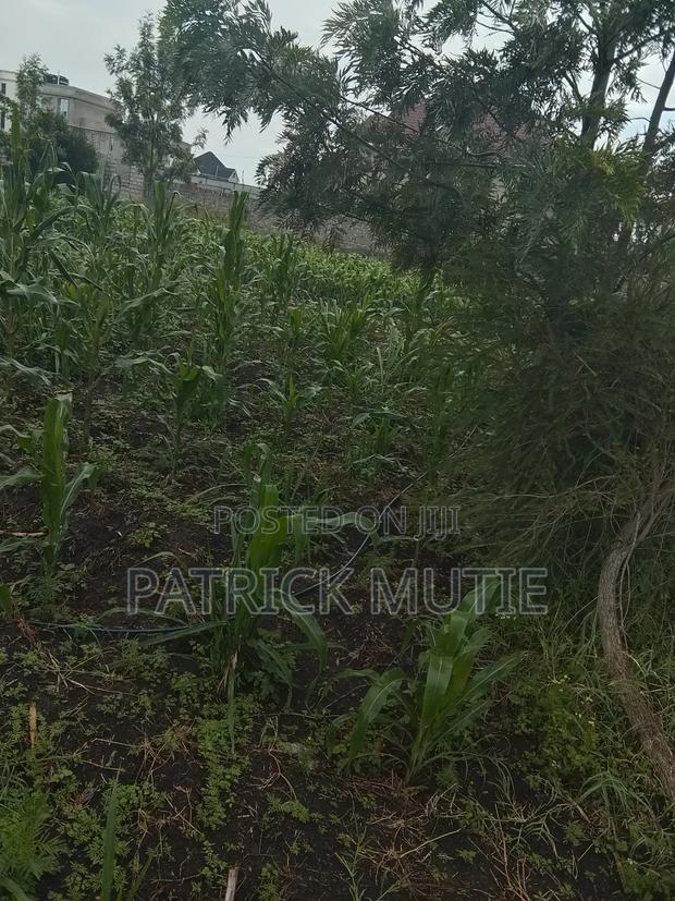 50*100 Katani Greenvilla for Sale - main view