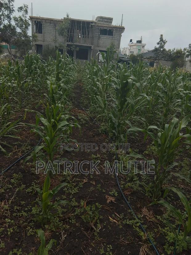 50*100 Katani Greenvilla for Sale - thumbnail 3