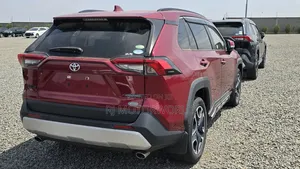 Toyota RAV4 XLE Premium AWD 2019 Burgundy