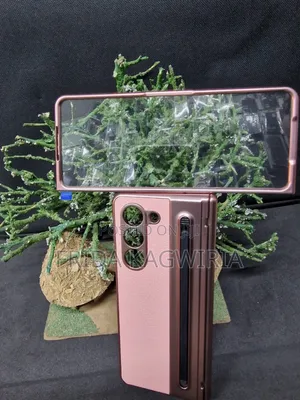 Sam's Galaxy Fold 5 Leather Case With Screen Protector