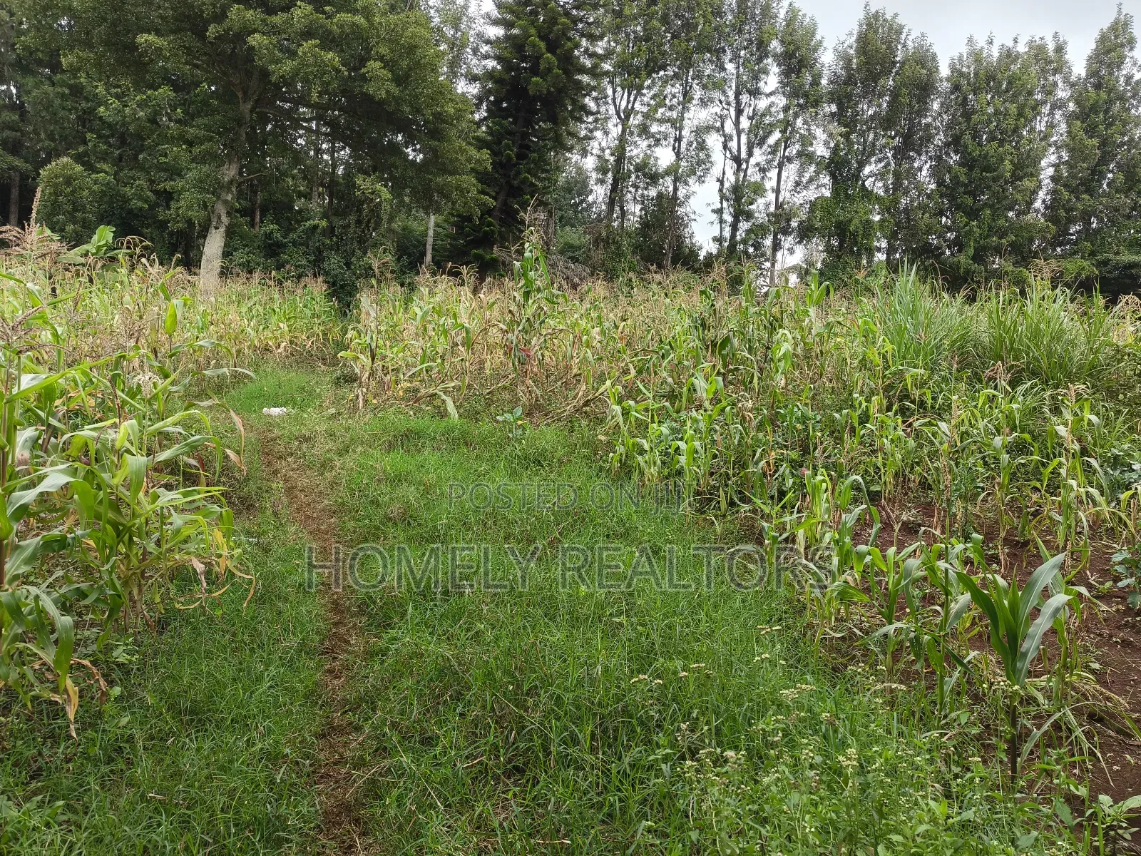 One Acre Piece of Land in Ngong, Olulua Rd With Scenic View