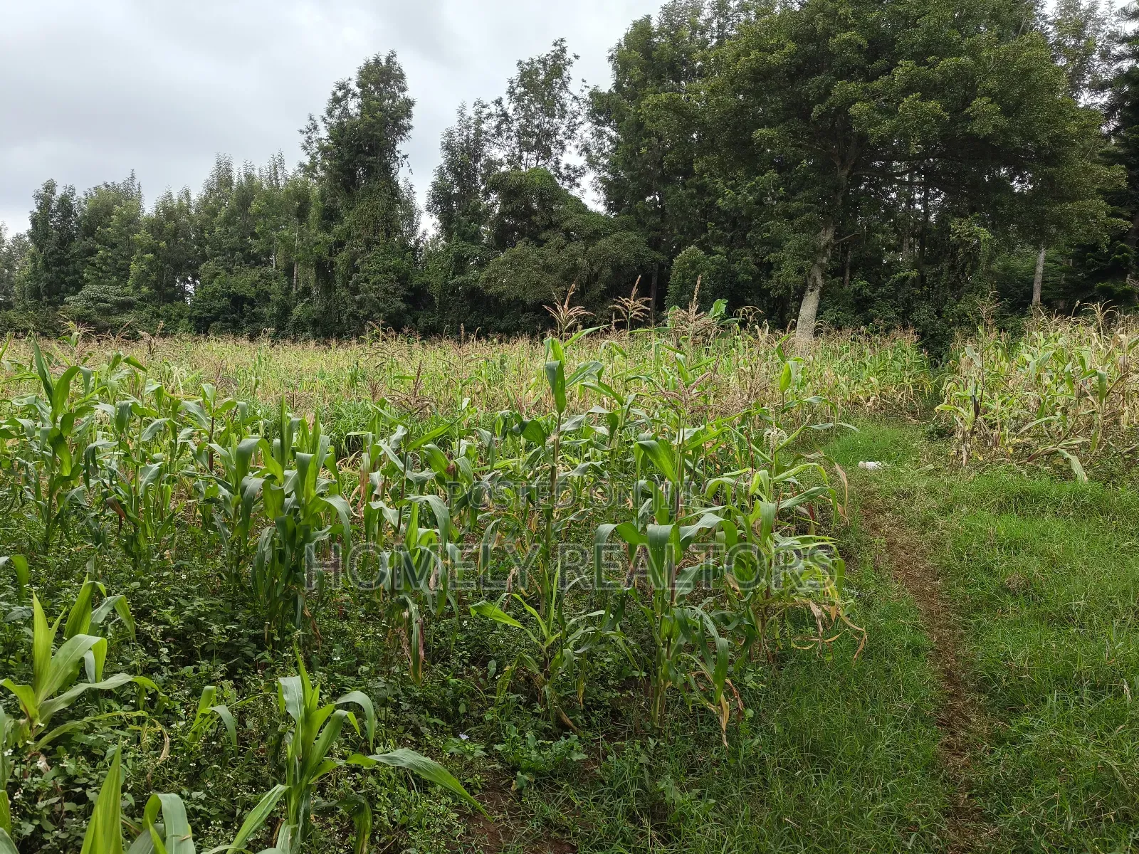 One Acre Piece of Land in Ngong, Olulua Rd With Scenic View
