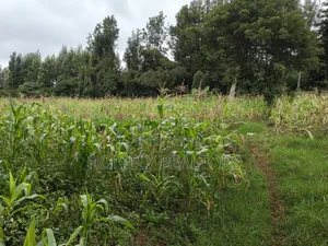 One Acre Piece of Land in Ngong, Olulua Rd With Scenic View