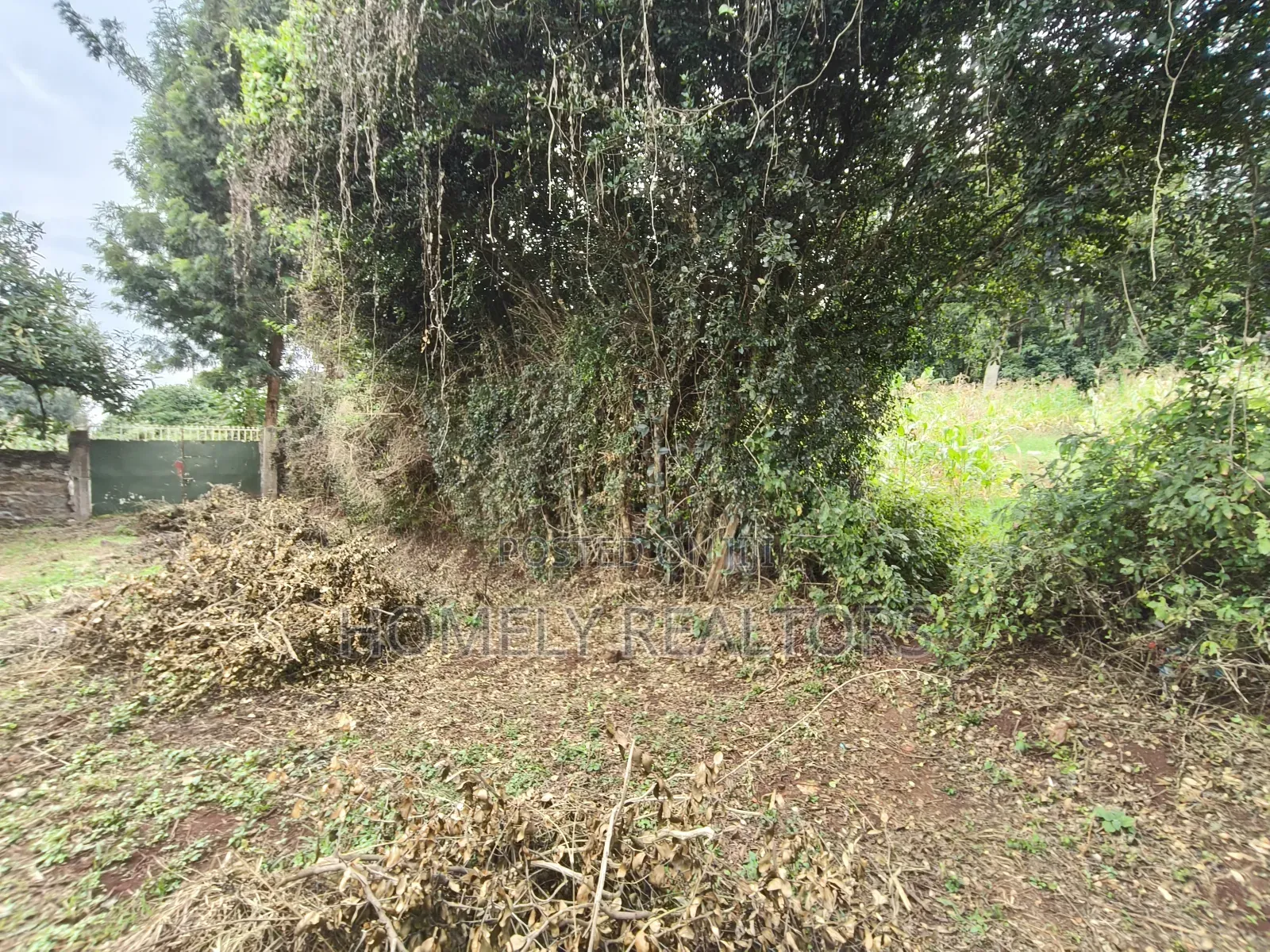 One Acre Piece of Land in Ngong, Olulua Rd With Scenic View