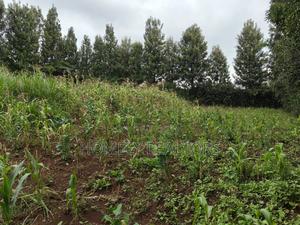 Half Acre Plot in Ngong, Along Olulua Rd With Scenic View - thumbnail 2