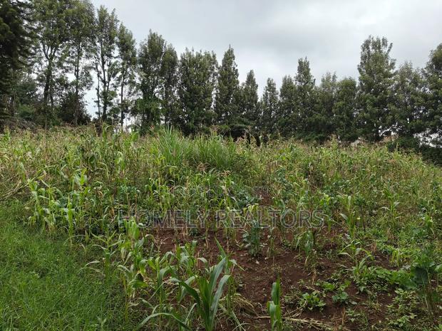 Half Acre Plot in Ngong, Along Olulua Rd With Scenic View - thumbnail 3