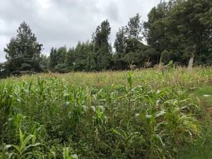 Half Acre Plot in Ngong, Along Olulua Rd With Scenic View