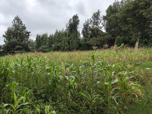 Half Acre Plot in Ngong, Along Olulua Rd With Scenic View - thumbnail 4