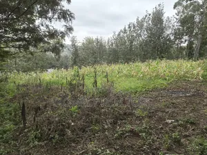 Half Acre Plot in Ngong, Matasia, 200 Meters From the Tarmac