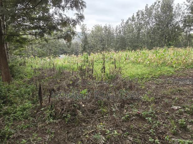Half Acre Plot in Ngong, Matasia, 200 Meters From the Tarmac - thumbnail 3