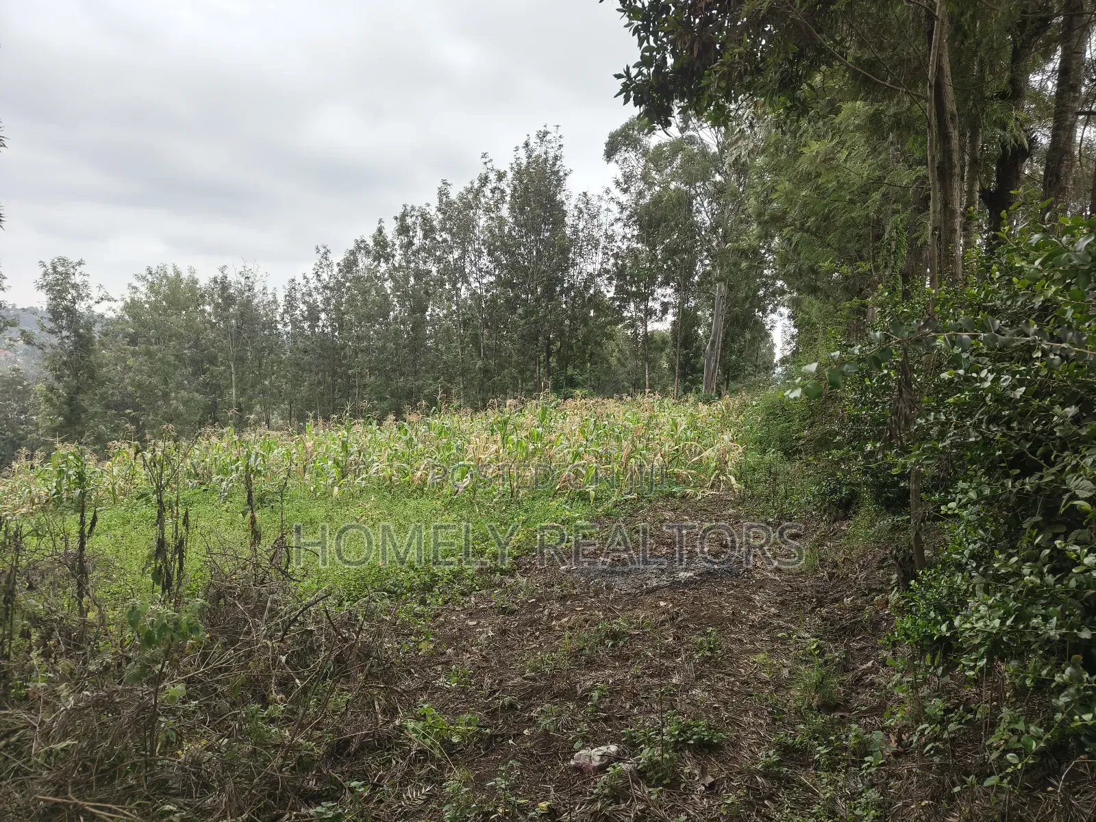 Half Acre Plot in Ngong, Matasia, 200 Meters From the Tarmac