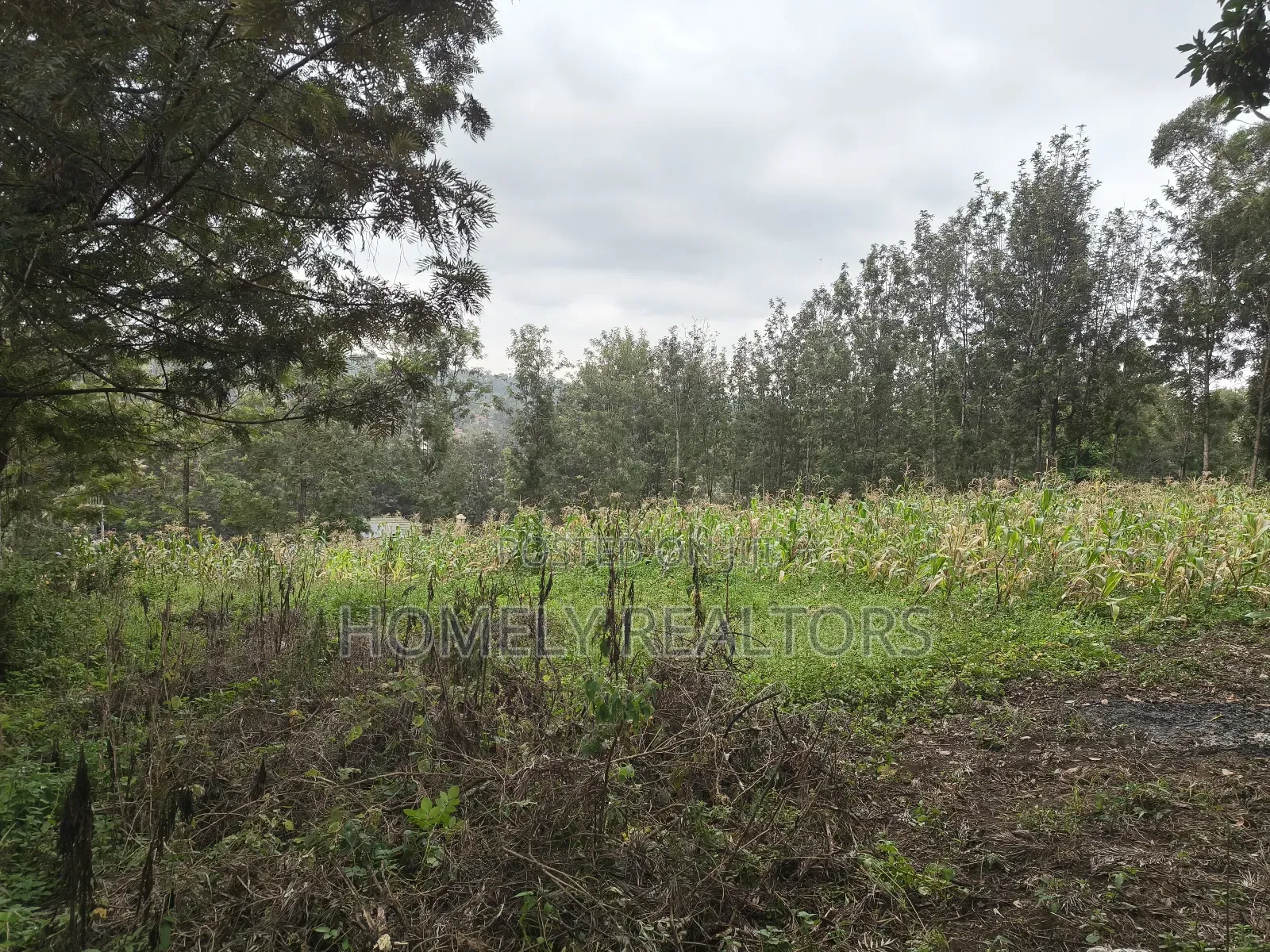 Half Acre Plot in Ngong, Matasia, 200 Meters From the Tarmac