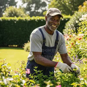 Professional Landscaping and Gardening Services