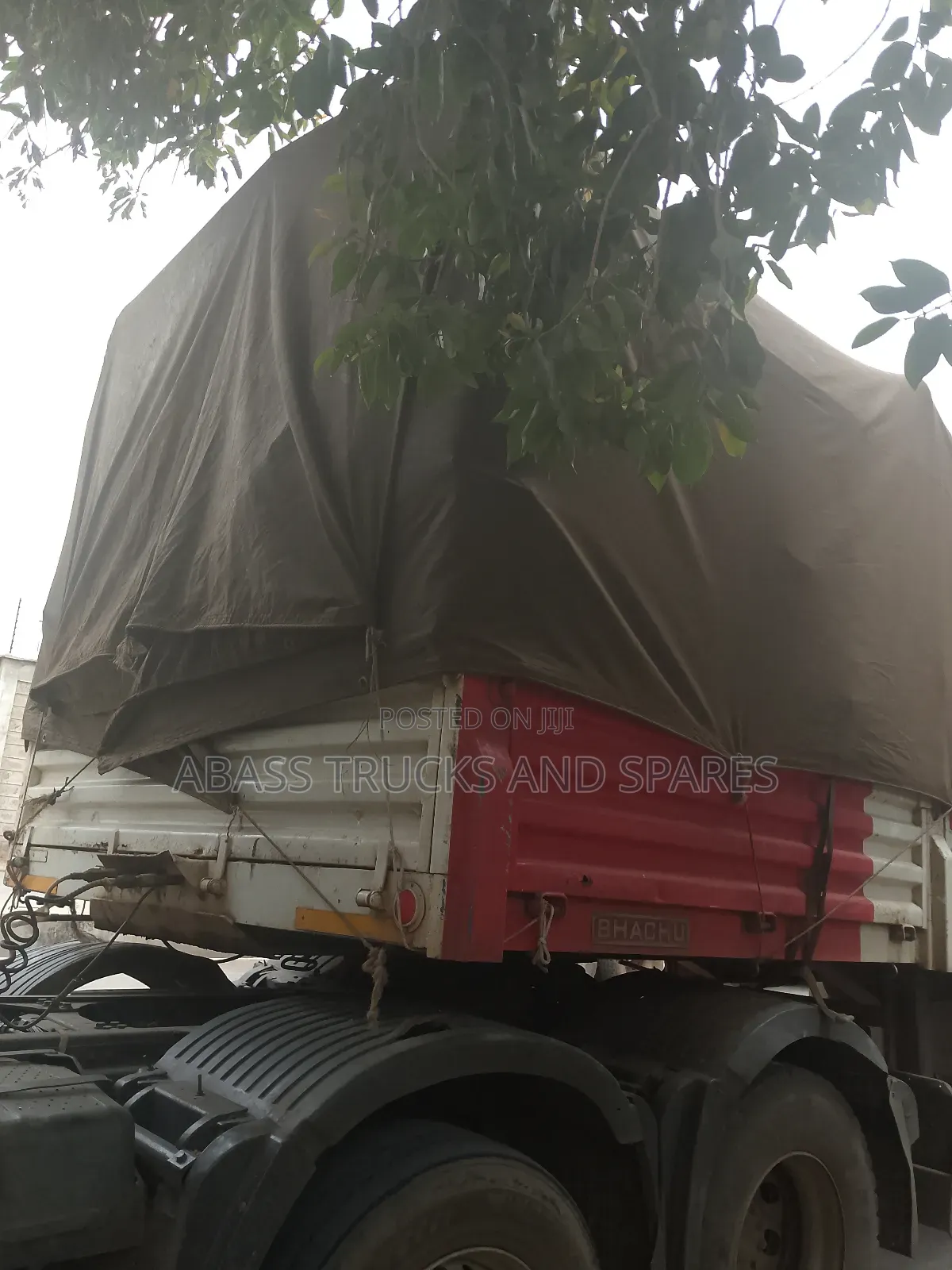 Heyseded Buchu Zd Sevi 1.9