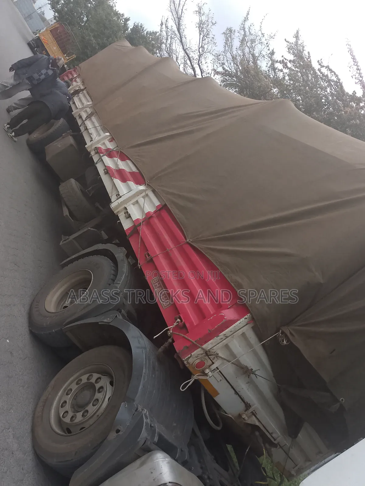 Heyseded Buchu Zd Sevi 1.9
