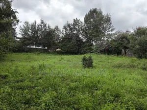 Quarter Acre Plot on Sale in Ngong, Ol Keri in a Good Estate