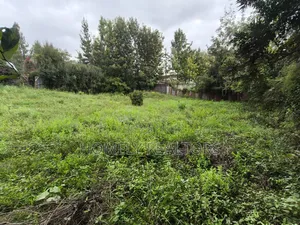 Quarter Acre Plot on Sale in Ngong, Ol Keri in a Good Estate