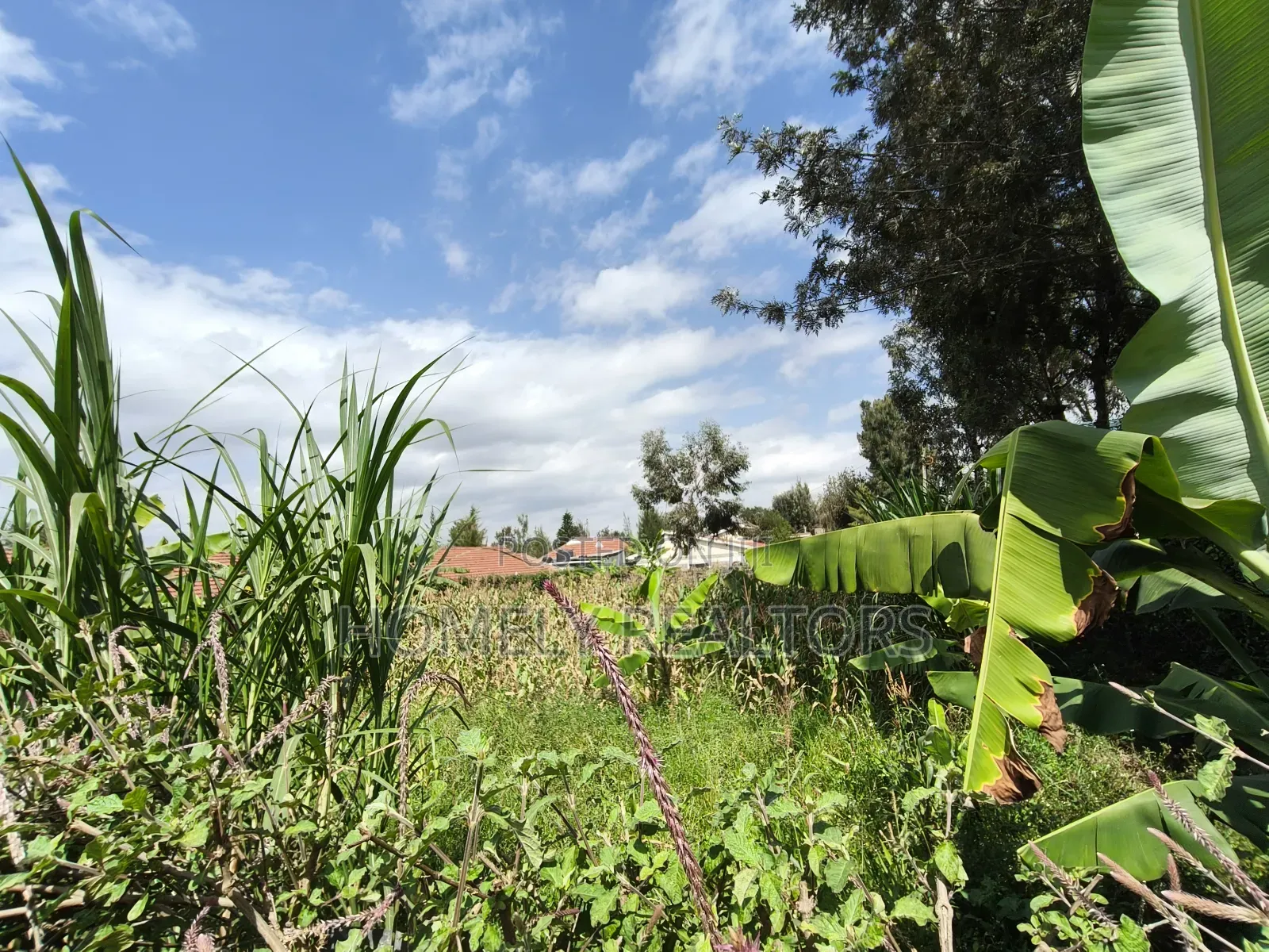 Quarter Acre Plot in Rimpa, Ongata Rongai in a Gated Estate