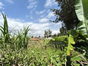 Quarter Acre Plot in Rimpa, Ongata Rongai in a Gated Estate