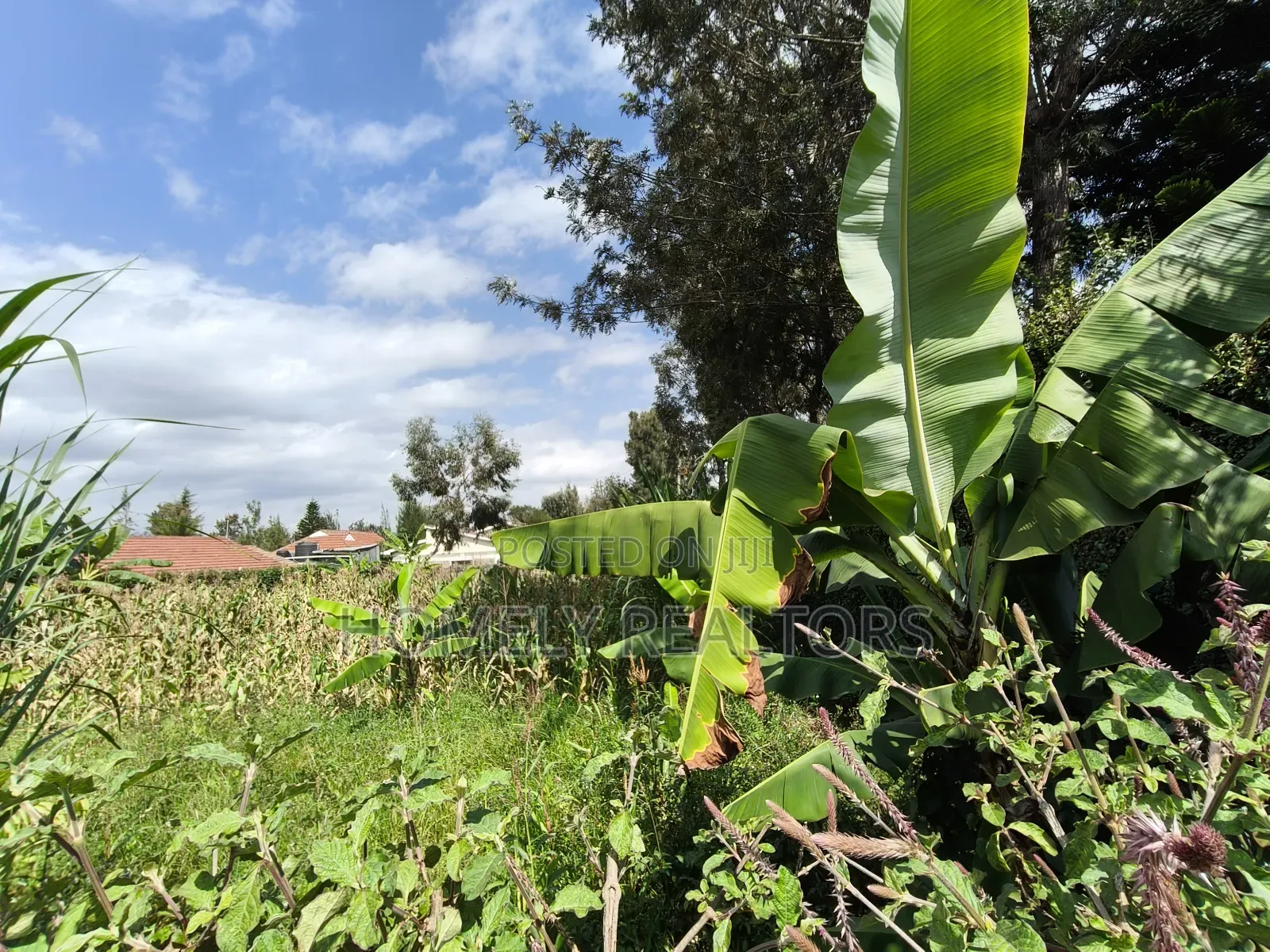 Quarter Acre Plot in Rimpa, Ongata Rongai in a Gated Estate