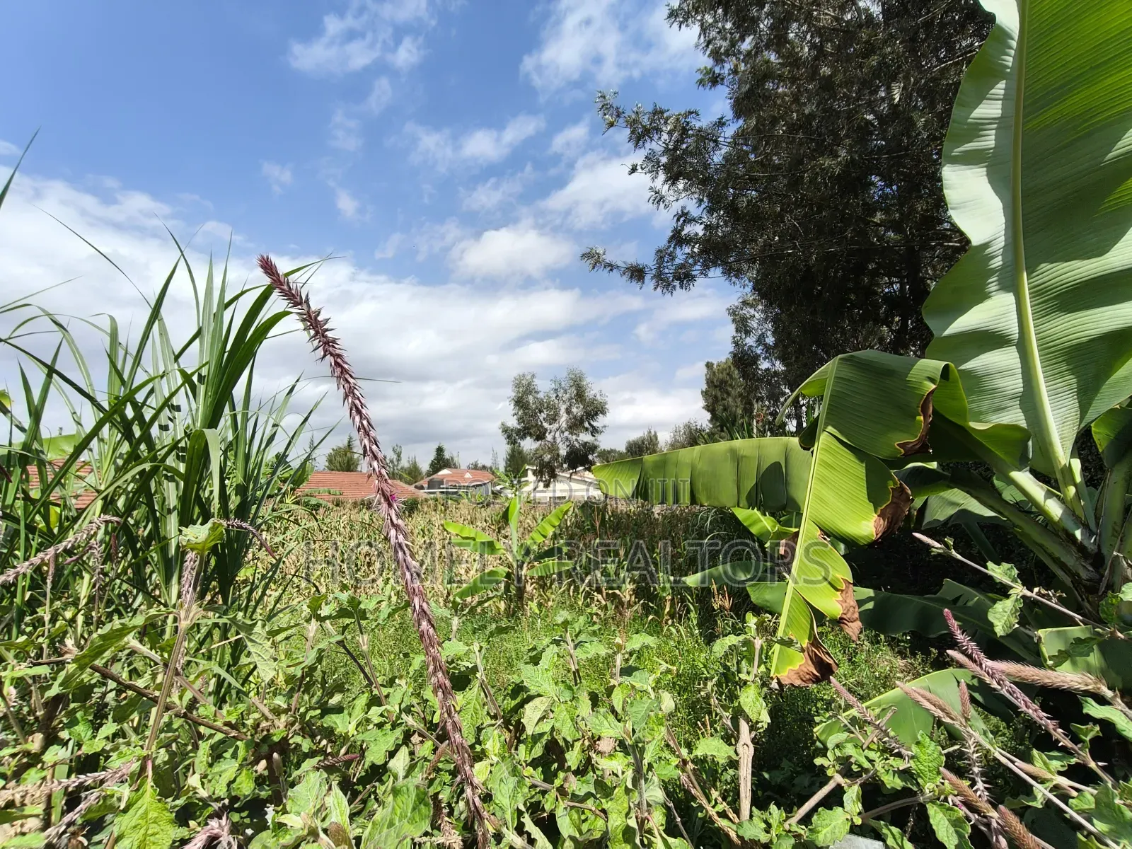 Quarter Acre Plot in Rimpa, Ongata Rongai in a Gated Estate