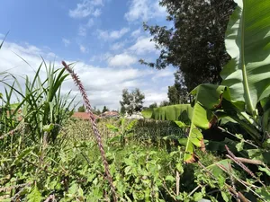 Quarter Acre Plot in Rimpa, Ongata Rongai in a Gated Estate