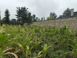 Eighth Acre Plot in Rimpa, Ongata Rongai in a Gated Estate