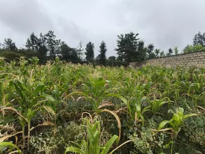 Eighth Acre Plot in Rimpa, Ongata Rongai in a Gated Estate