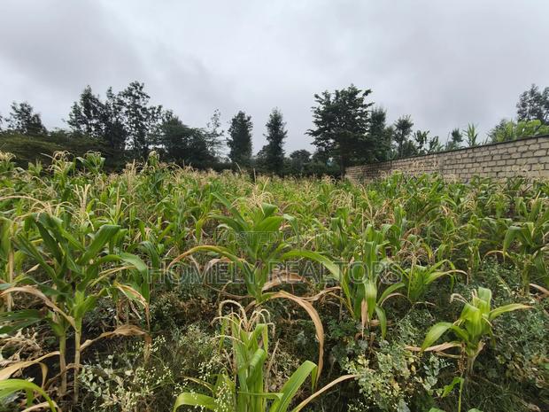 Eighth Acre Plot in Rimpa, Ongata Rongai in a Gated Estate - thumbnail 3