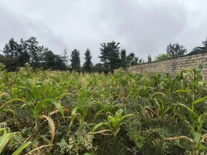 Eighth Acre Plot in Rimpa, Ongata Rongai in a Gated Estate