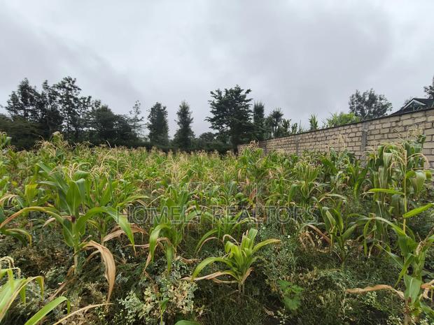 Eighth Acre Plot in Rimpa, Ongata Rongai in a Gated Estate - thumbnail 4