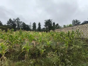 Eighth Acre Plot in Rimpa, Ongata Rongai in a Gated Estate