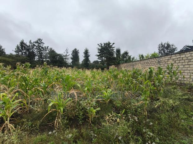 Eighth Acre Plot in Rimpa, Ongata Rongai in a Gated Estate - thumbnail 6