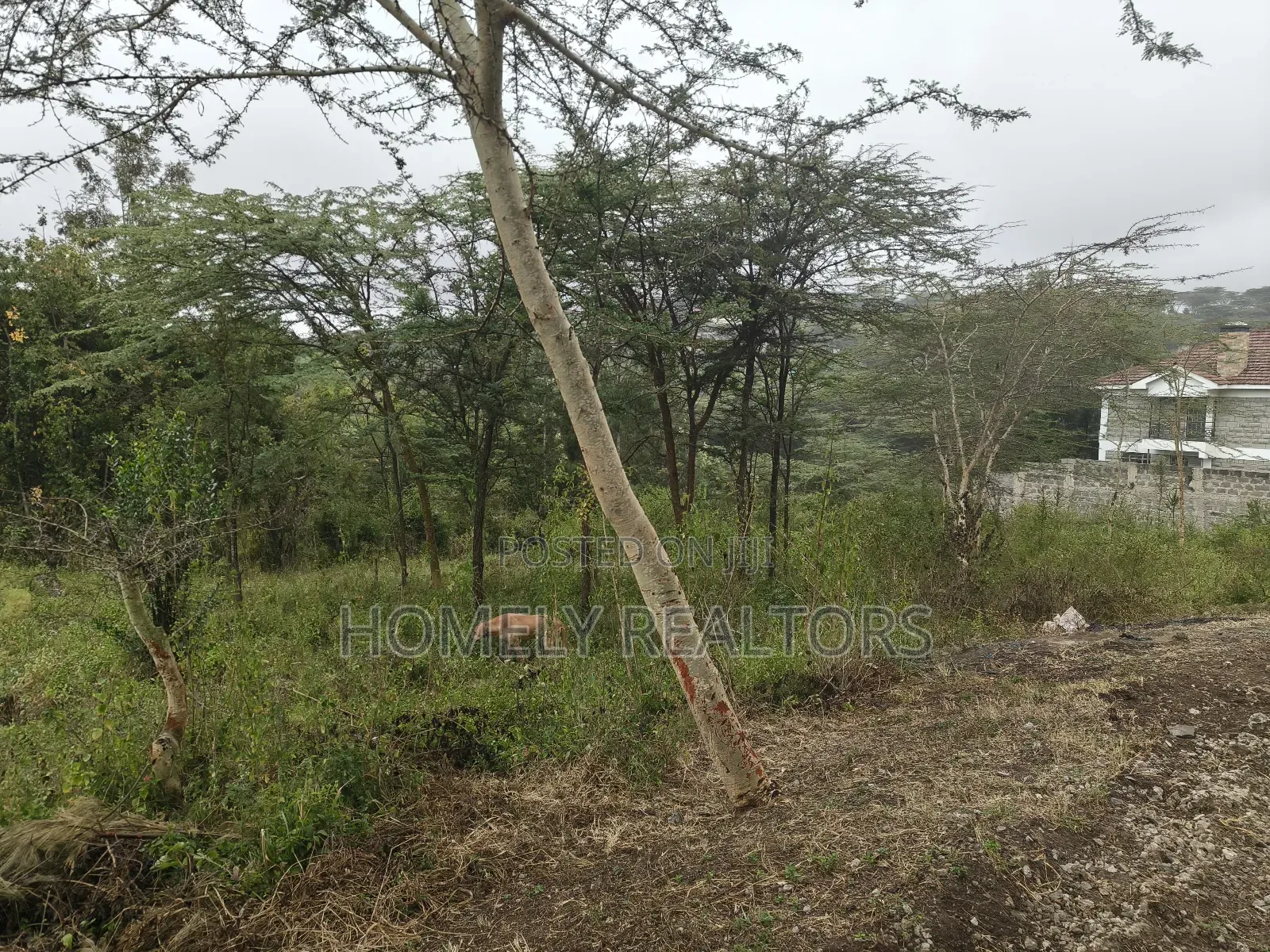 Eighth Acre Plot in Rimpa, Ongata Rongai, Kandisi Area