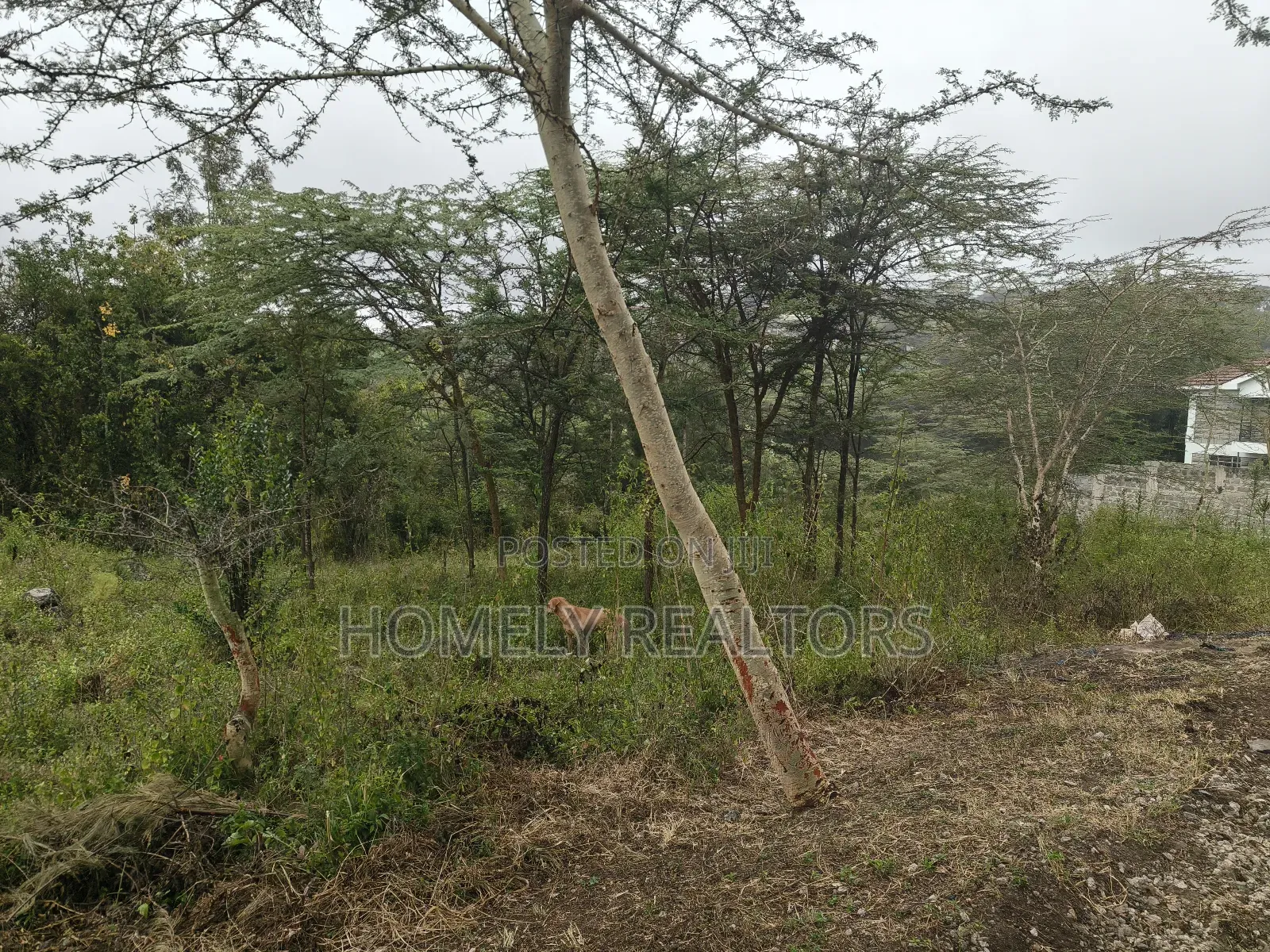 Eighth Acre Plot in Rimpa, Ongata Rongai, Kandisi Area