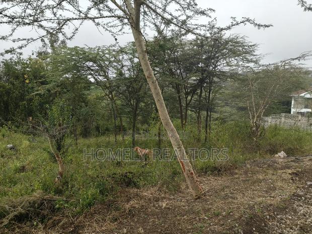 Eighth Acre Plot in Rimpa, Ongata Rongai, Kandisi Area - thumbnail 3