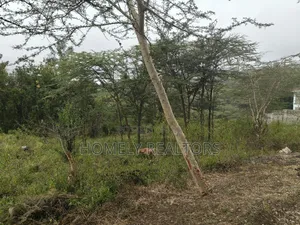 Eighth Acre Plot in Rimpa, Ongata Rongai, Kandisi Area
