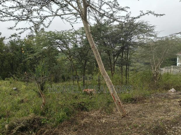 Eighth Acre Plot in Rimpa, Ongata Rongai, Kandisi Area - thumbnail 4