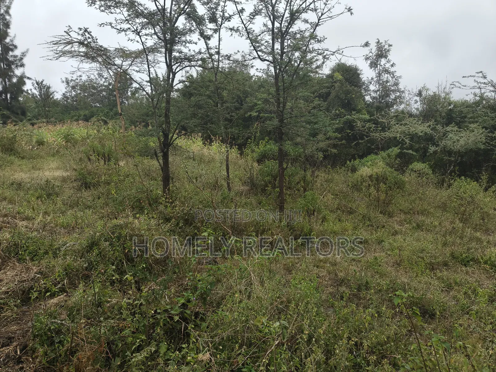 Eighth Acre Plot in Rimpa, Ongata Rongai, Kandisi Area