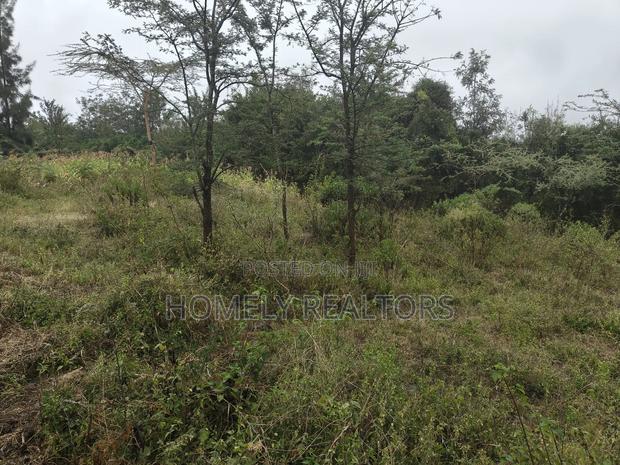 Eighth Acre Plot in Rimpa, Ongata Rongai, Kandisi Area - thumbnail 5