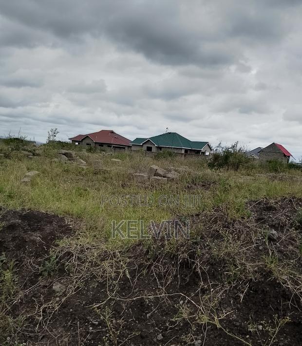 Offer! Mlolongo/Sabaki Plot - thumbnail 2