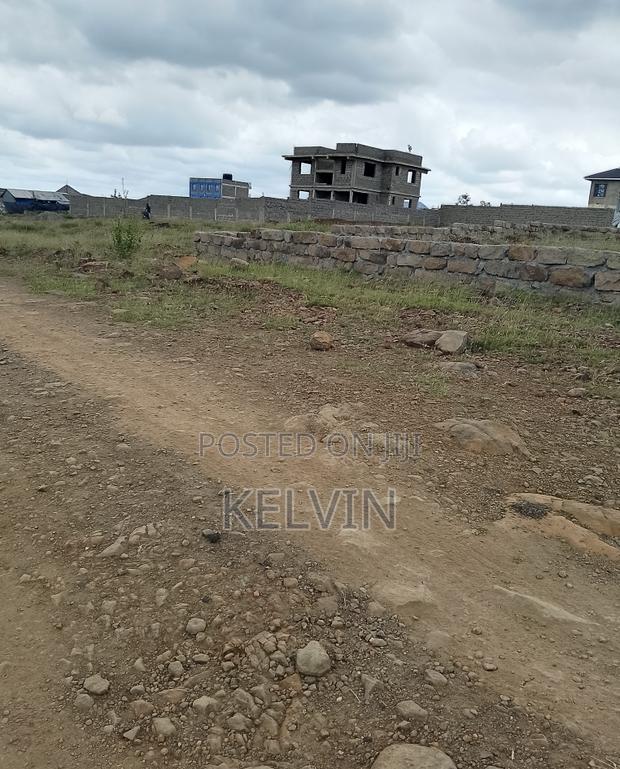 Offer! Mlolongo/Sabaki Plot - thumbnail 4