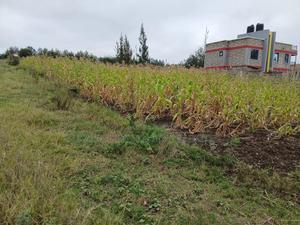 Quick Sale! Homely 1/8 Acre Plot in Merisho, Matasia - thumbnail 2