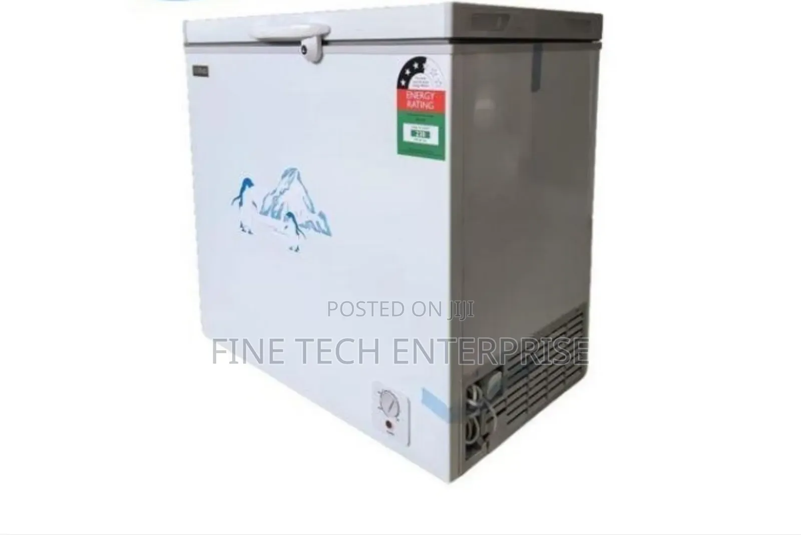 Ecomax Bd-169 169l Chest Freezer