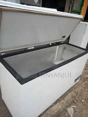 Commercial Deep Freezer